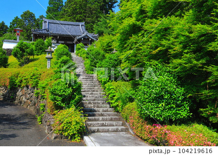【京都府】晴天の西山善峯寺の薬師堂 104219616
