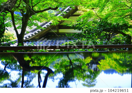 【京都府】楊谷寺（柳谷観音）の上書院から見るシンメトリーな浄土苑（限定公開） 104219651