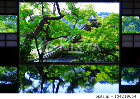 【京都府】楊谷寺（柳谷観音）の上書院から見るシンメトリーな浄土苑（限定公開） 104219654