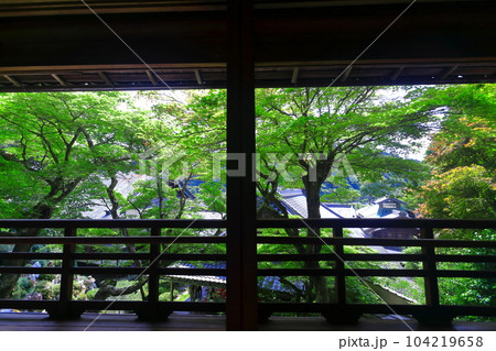 【京都府】楊谷寺（柳谷観音）の上書院から見た浄土苑（限定公開） 104219658