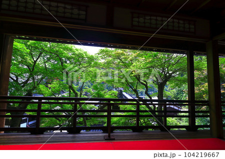 【京都府】楊谷寺(柳谷観音)の上書院から見た浄土苑(限定公開) 【京都府】楊谷寺(柳谷観音)の上書院から見た浄土苑(限定公開) 104219667