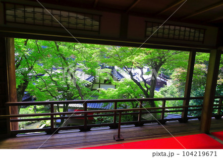 【京都府】楊谷寺（柳谷観音）の上書院から見た浄土苑（限定公開） 104219671