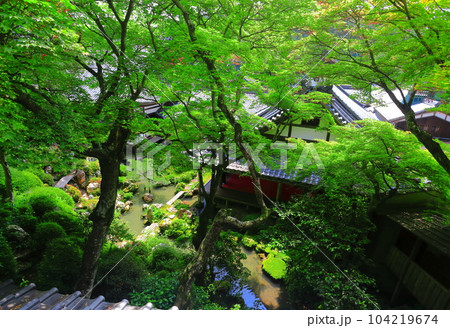 【京都府】楊谷寺(柳谷観音)の上書院から見た浄土苑(限定公開) 【京都府】楊谷寺(柳谷観音)の上書院から見た浄土苑(限定公開) 104219674