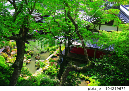 【京都府】楊谷寺（柳谷観音）の上書院から見た浄土苑（限定公開） 104219675