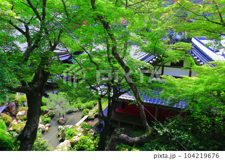 【京都府】楊谷寺（柳谷観音）の上書院から見た浄土苑（限定公開） 104219676