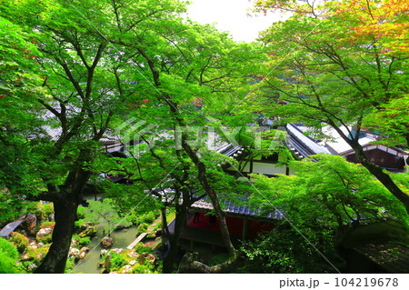 【京都府】楊谷寺(柳谷観音)の上書院から見た浄土苑(限定公開) 【京都府】楊谷寺(柳谷観音)の上書院から見た浄土苑(限定公開) 104219678