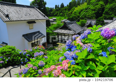 【京都府】紫陽花が満開の楊谷寺（柳谷観音） 104219706
