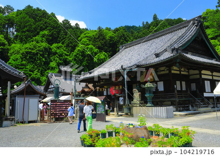【京都府】晴天の満開の楊谷寺（柳谷観音）本殿 104219716
