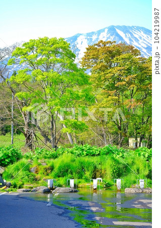 北海道真狩村にある「羊蹄山の湧き水」の風景 104219987