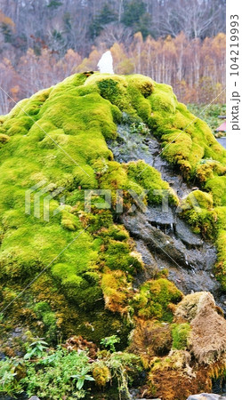 北海道真狩村にある「羊蹄山の湧き水」の風景 北海道真狩村にある「羊蹄山の湧き水」の風景 104219993