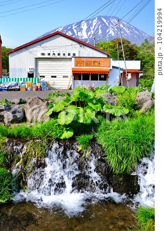 北海道真狩村にある「羊蹄山の湧き水」の風景 北海道真狩村にある「羊蹄山の湧き水」の風景 104219994