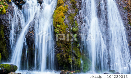 「山梨県」晩秋の吐竜の滝 北杜市 「山梨県」晩秋の吐竜の滝 北杜市 104220018