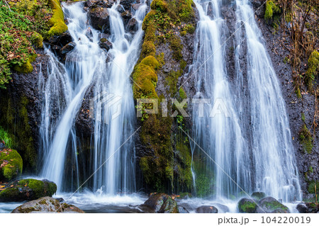 「山梨県」晩秋の吐竜の滝 北杜市 「山梨県」晩秋の吐竜の滝 北杜市 104220019