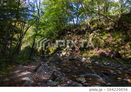 岩手岩泉町　龍泉洞の地下水が流れる清水川渓流 104220056