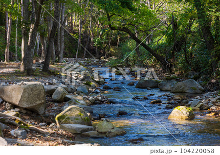 岩手岩泉町　龍泉洞の地下水が流れる清水川渓流 104220058