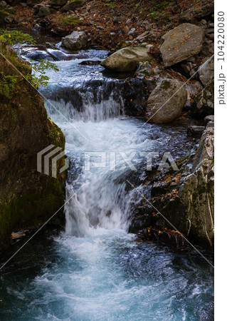 岩手岩泉町　龍泉洞の地下水が流れる清水川渓流 104220080