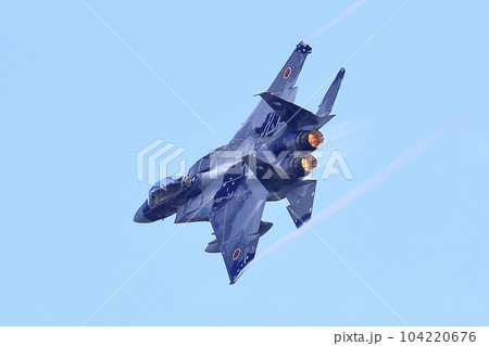 F-15戦闘機(アグレッサー部隊) F-15戦闘機(アグレッサー部隊) 104220676