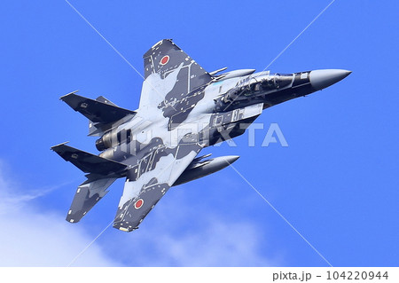 F-15戦闘機（アグレッサー部隊） 104220944