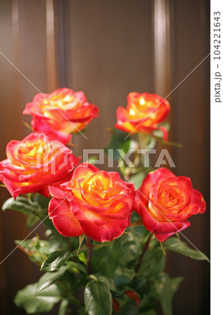 萬翠荘のバラの花 104221643