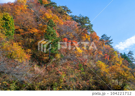 魚野川沿 紅葉 神弁橋からの眺め 秋景色 新潟県湯沢町 魚野川沿 紅葉 神弁橋からの眺め 秋景色 新潟県湯沢町 104221712