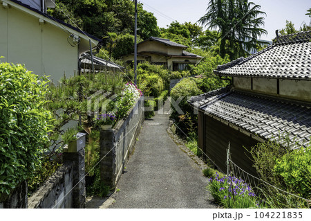 山崎城下町　竹垣の小路　兵庫県宍粟市 104221835