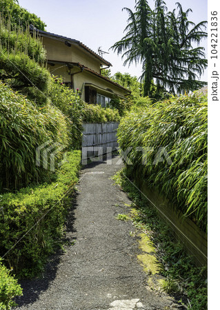 山崎城下町 竹垣の小路 兵庫県宍粟市 山崎城下町 竹垣の小路 兵庫県宍粟市 104221836