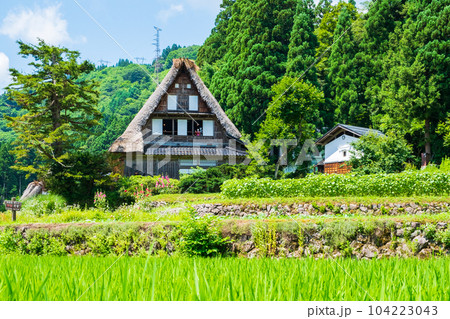 五箇山・相倉合掌造り集落(夏) 五箇山・相倉合掌造り集落(夏) 104223043
