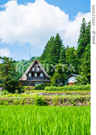五箇山・相倉合掌造り集落(夏) 五箇山・相倉合掌造り集落(夏) 104223045