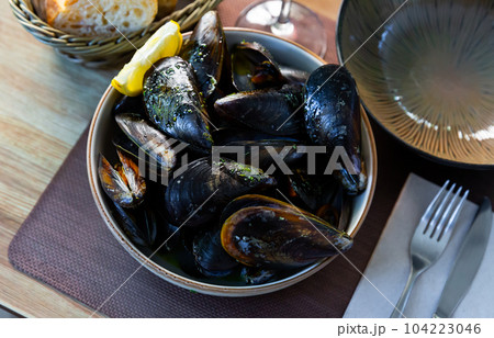 Steamed tasty mussels with green sauce at plate, nobody Steamed tasty mussels with green sauce at plate, nobody 104223046