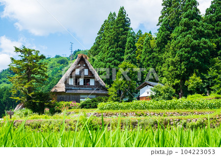 五箇山・相倉合掌造り集落（夏） 104223053