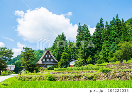 五箇山・相倉合掌造り集落(夏) 五箇山・相倉合掌造り集落(夏) 104223058