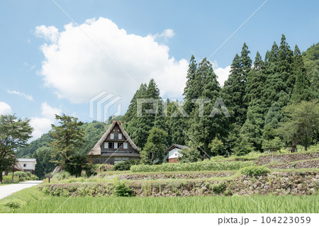 五箇山・相倉合掌造り集落(夏) 五箇山・相倉合掌造り集落(夏) 104223059