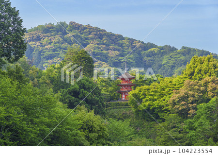 清水寺 新緑の子安塔 清水寺 新緑の子安塔 104223554