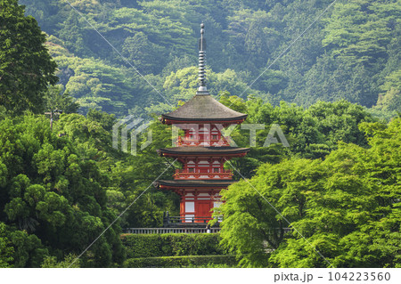 清水寺　新緑の子安塔 104223560