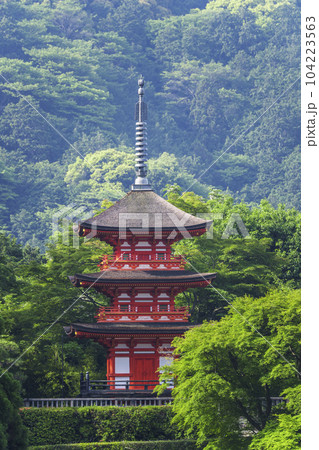 清水寺 新緑の子安塔 清水寺 新緑の子安塔 104223563