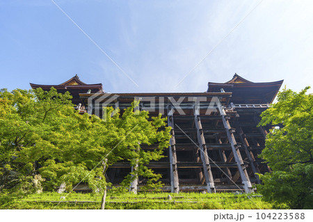 新緑の清水寺本堂 清水の舞台を下から見上げる 新緑の清水寺本堂 清水の舞台を下から見上げる 104223588