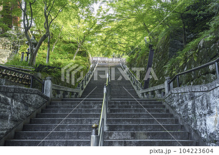 新緑に囲まれた清水寺の石段 新緑に囲まれた清水寺の石段 104223604