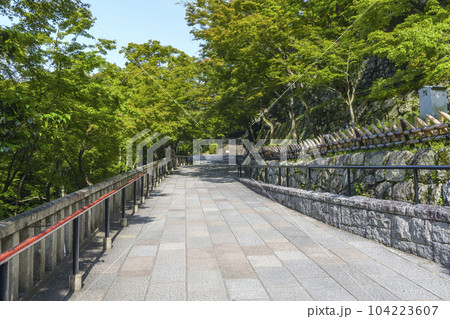 新緑の清水寺境内 参道 新緑の清水寺境内 参道 104223607