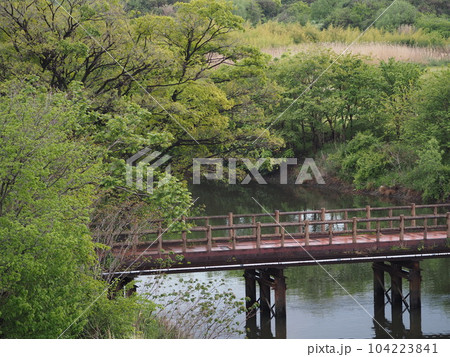 埼玉県川口市荒川三領水門からの早春の風景 埼玉県川口市荒川三領水門からの早春の風景 104223841