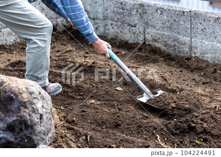 庭木の伐採 庭木の伐採 104224491