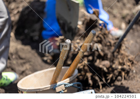 庭木の伐採 庭木の伐採 104224501