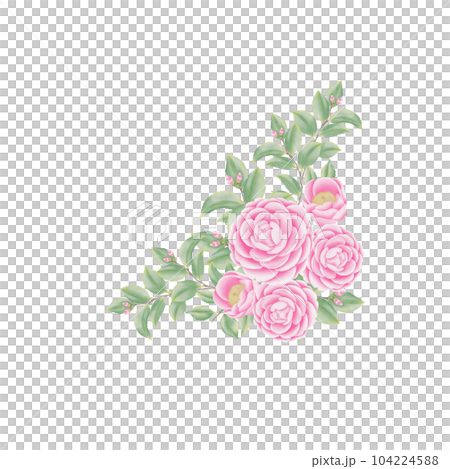 Watercolor camellia flowers and buds 104224588