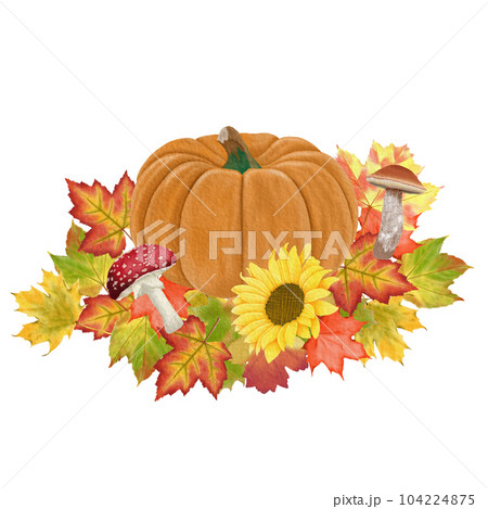 Watercolour autumn decoration illustration set. Watercolour autumn decoration illustration set. 104224875