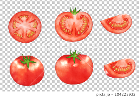 模擬水彩風格的西紅柿集 模擬水彩風格的西紅柿集 104225932
