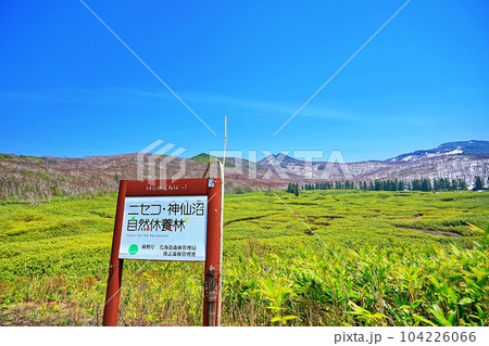 北海道ニセコ 神仙沼 自然休養林の絶景 北海道ニセコ 神仙沼 自然休養林の絶景 104226066
