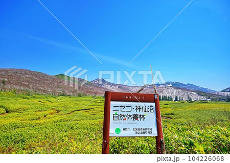 北海道ニセコ 神仙沼 自然休養林の絶景 北海道ニセコ 神仙沼 自然休養林の絶景 104226068