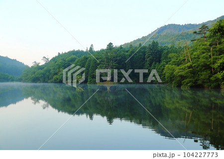 岩尾池の一本杉（滋賀県指定自然記念物） / 滋賀県甲賀市 104227773