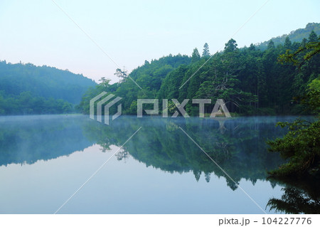 岩尾池の一本杉(滋賀県指定自然記念物) / 滋賀県甲賀市 岩尾池の一本杉(滋賀県指定自然記念物) / 滋賀県甲賀市 104227776
