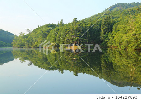 岩尾池の一本杉(滋賀県指定自然記念物) / 滋賀県甲賀市 岩尾池の一本杉(滋賀県指定自然記念物) / 滋賀県甲賀市 104227893