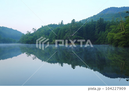 岩尾池の一本杉（滋賀県指定自然記念物） / 滋賀県甲賀市 104227909